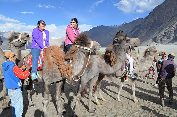 Camel ride