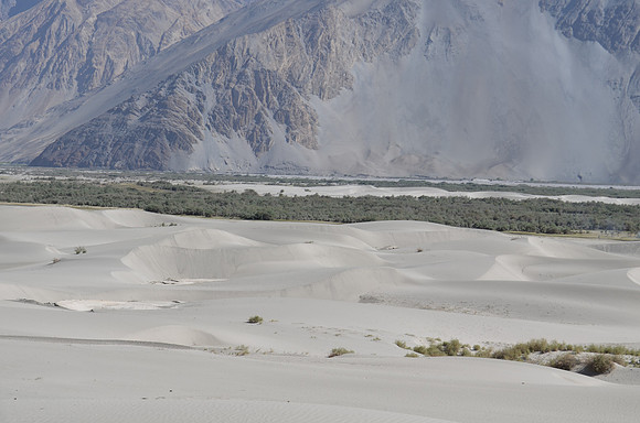 Sand dunes